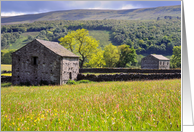 Summer Meadow, Wharfedale, The Yorkshire Dales - Customizable card