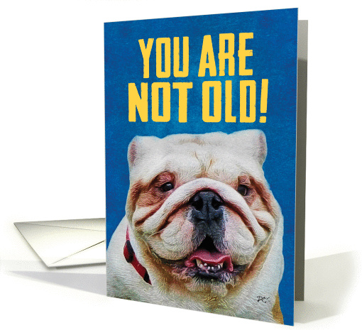 Funny Cute Bulldog- You Are Not Old Birthday card (1384680)