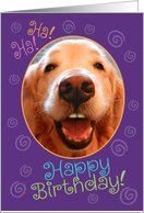 Funny Laughing Golden Retriever Birthday Card