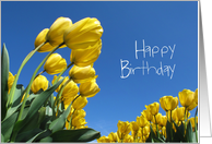 Happy Birthday - Yellow Tulips - Flowers card