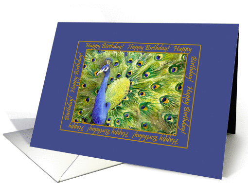 Peacock Birthday card (936479)