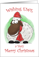 Cute Cartoon Sheep Very Merry Christmas card