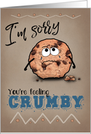 Sorry feeling crumby cookie get well card