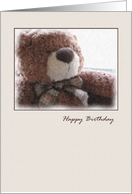 Painted Teddy Bear Happy Birthday Card