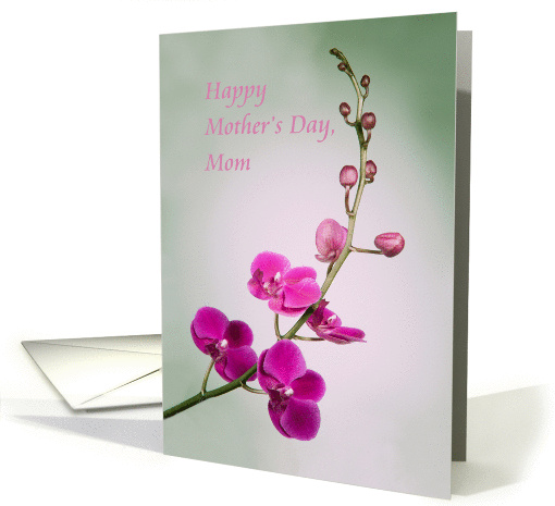 Happy Mother's Day, Mom, Blank Inside, Purple Orchid card (888257)