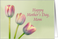 Happy Mother’s Day, Mom, Three Tulips, Pastel Pink, Flowers card