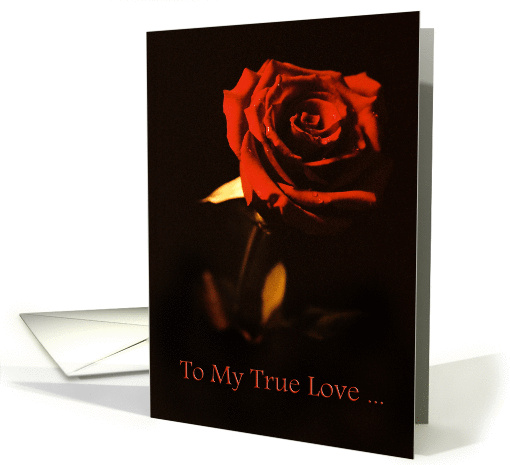 Dark Red Rose True Love Gothic Emo card (913805)