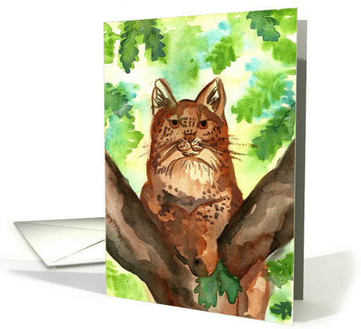 Lynx bobcat blank card (1345008)