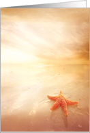 Radiant Beach Starfish Love card