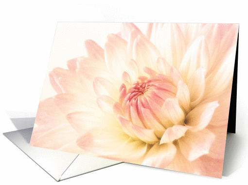 Mothers Day Card Pastel Pink Delight card (907247)