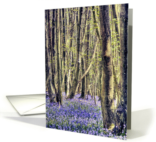 Beautiful Bluebells Carpeting the Woodlands Path Happy Birthday card