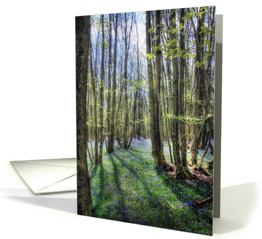 Beautiful Bluebells Carpeting the Woodlands Path Happy Birthday card