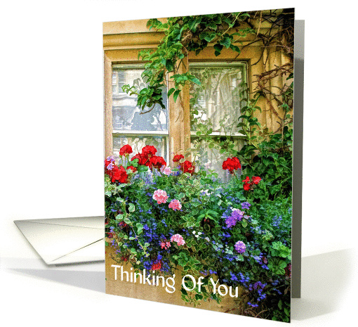 Thinking Of You - Window - Flowers card (898640)