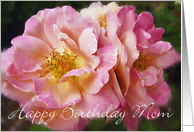 Mom Birthday - Pink Roses card