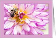 Blank Photography Card Of Dahlia And Bumble Bee card