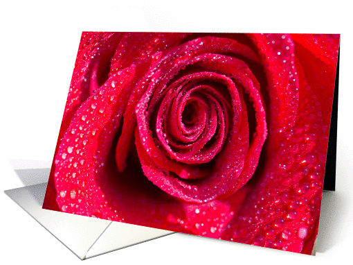 Red Rose Love card (901158)