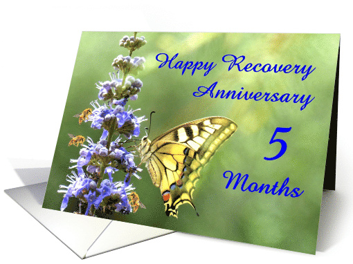 5 Months, Happy Anonymous Recovery Anniversary card (1495960)