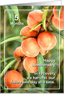 5 Months Happy Anniversary We Harvest our Future card
