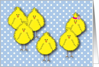 Chickiepoos! Easter Card