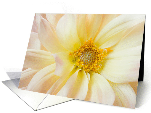 Yellow Dahlia card (1179002)