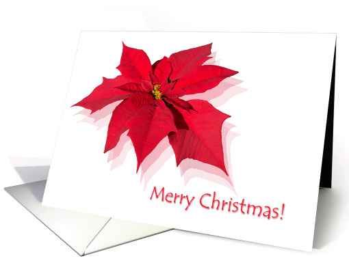 Merry Christmas Red Poinsettia card (1196884)