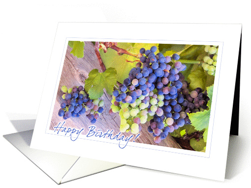 Rainbow Grapes Birthday card (1331758)