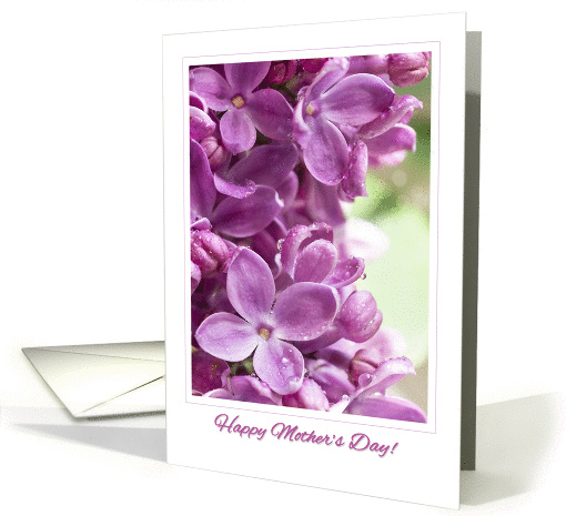 Happy Mother's Day! Purple Lilac card (1430162)