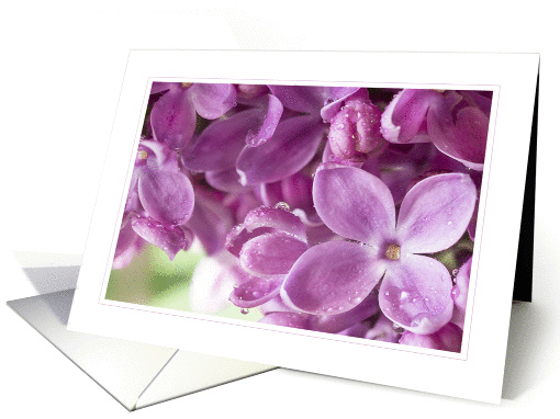 Blooming Lilac Blank Note card (1430388)