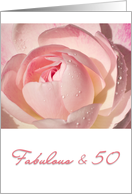 Fabulous & 50 Pink Rose Birthday card