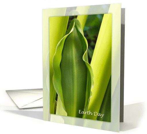 Green Leaf Earth Day Note card (922417)