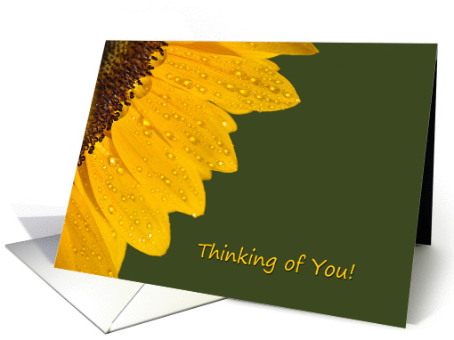 Thinking of You! card (935442)