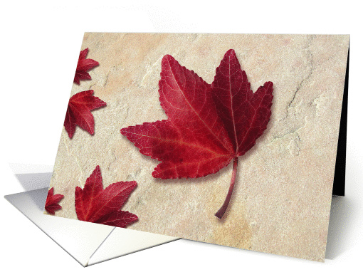 Autumn Leaves, Blank  Note card (966939)