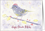 December Birthday Whimsical Bird with Holly Hues of Purple and Yellow card