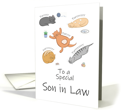 Son in Law Birthday Funny Cartoon Cats Sleeping and Purring card