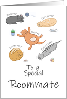 Roommate Birthday Funny Cartoon Cats Sleeping and Purring card