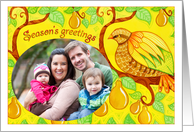 Season’s greetings, partridge in a pear tree card