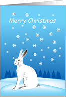 Merry Christmas- winter hare and snowflakes card