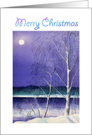 Merry Christmas-Silver Birch trees and full moon card