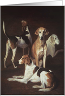 A Study of Fox Hounds by Agasse, Jacques-Laurent card