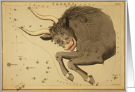Tauras zodiac illustration by Sydney Hall card