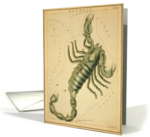 Scorpio zodiac illustration by Sydney Hall card (1737720)