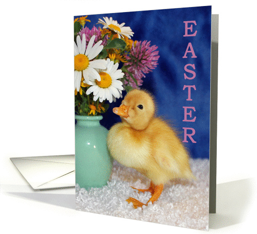 Easter Blessings - Baby Duckling with Wild Flowers card (1032595)