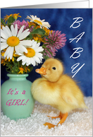 New Baby Announcement - Baby Duckling with Wild Flowers card