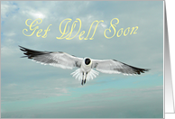 Get Well - Seagull card
