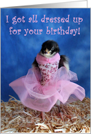 Birthday - Baby Chick in Pink Dress card