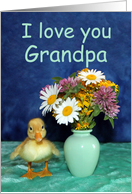 I Love You Grandpa, Get Well - Duckling with Wild Flowers card