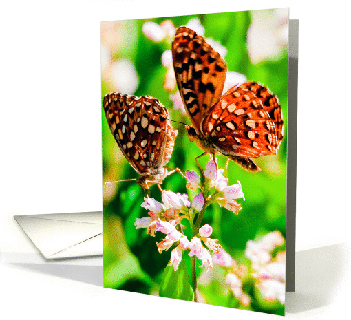 Checkerspot card (1110994)