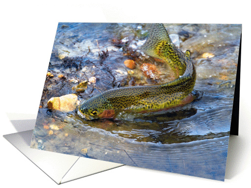 Trout in water 1 card (1111032)