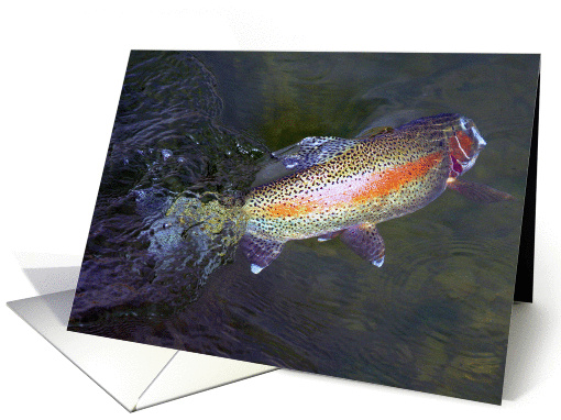 Trout in water 3 card (1111040)