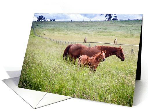 Horse and foal card (1152300)